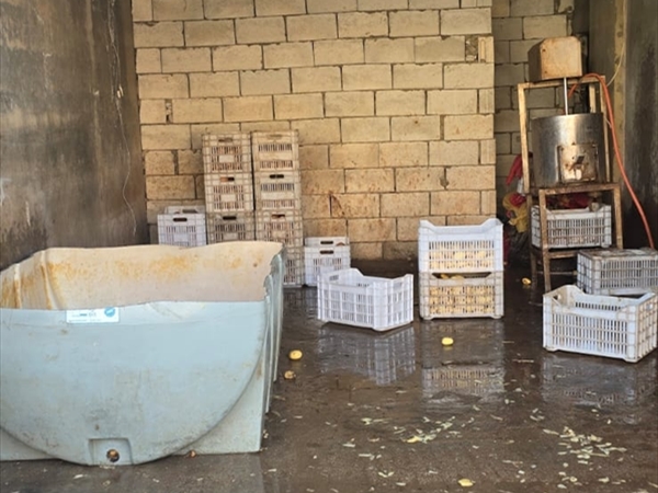 جنون الفساد تابع... توم صُنع في خيم النازحين!