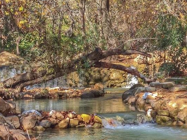 المبادئ البيئية في الأمثال اللبنانية (1/2)