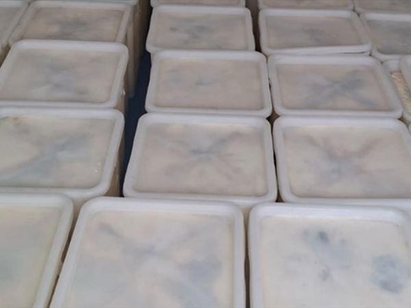 بالأرقام والصور: أجبان مهرّبة ولبنة فاسدة... وألعاب ناريّة ممنوعة!