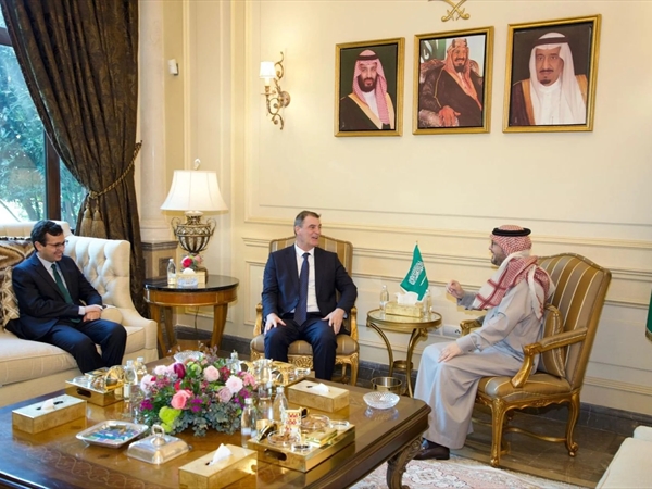 بخاري بحث استقرار القطاع المالي