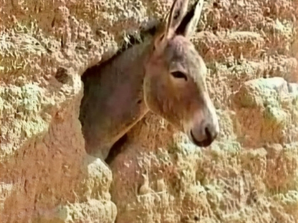 فات بالحيط!