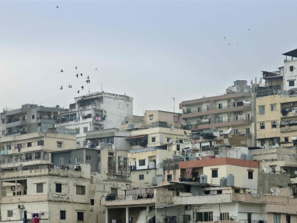 مأساة قديمة جديدة تعود إلى الواجهة