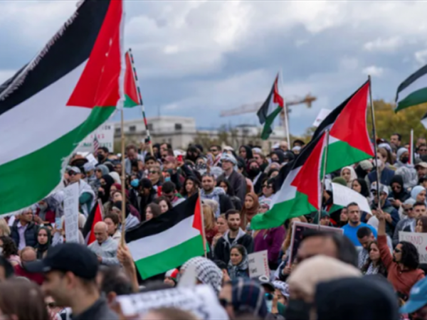 الأصل.. والفروع