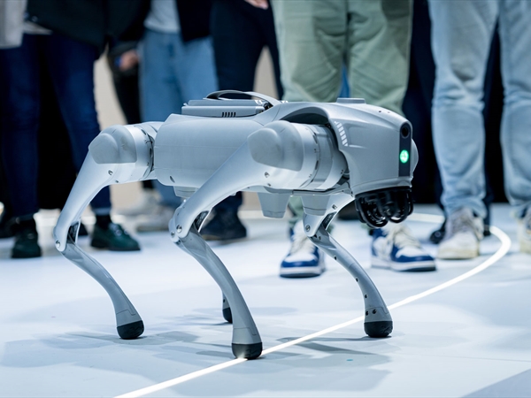 هل دَخَلَ البشرُ مرحلةَ التهجين فعلاً؟