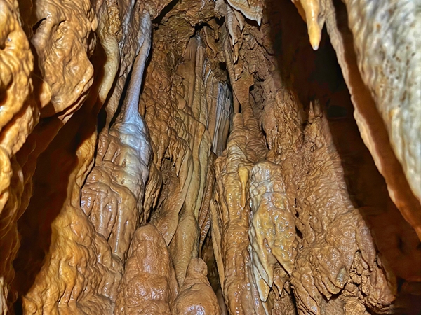 اكتشاف مغارة جديدة في عكار