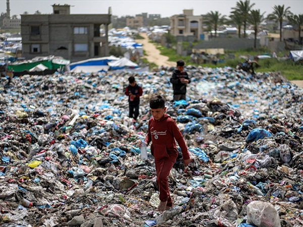 بعد انتشار ظاهرة الإصابات بعضّات القوارض في غزة: تحذيرات من [...]