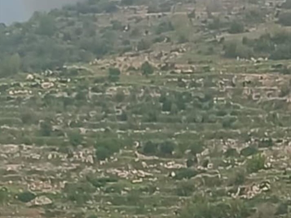 غارة إسرائيلية على منطقة الشعرة شرق لبنان