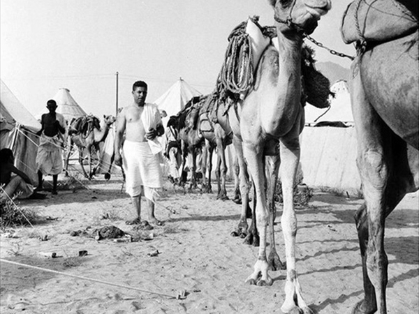 «مواكب النور في دروب الهلاك: ذاكرة الحج قديماً» (٢)