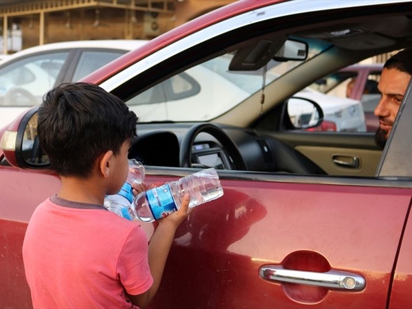 آفة قد تتكرر!...