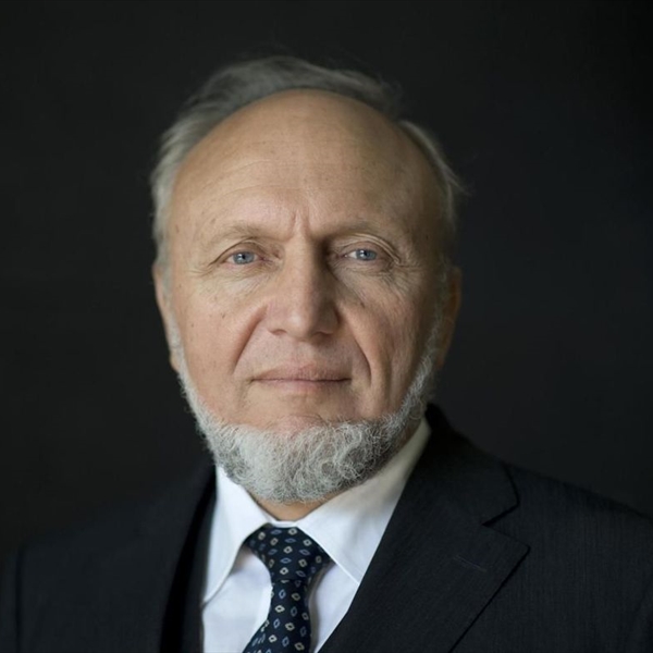 هانز ويرنر سين