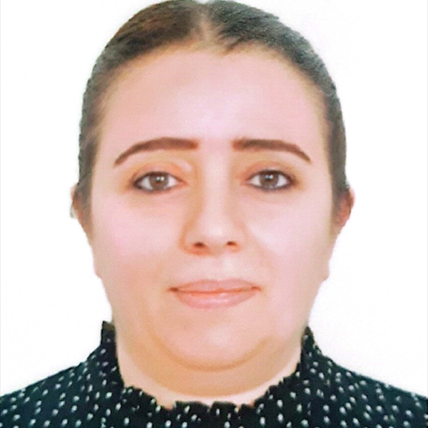 سلام ناصر الدين