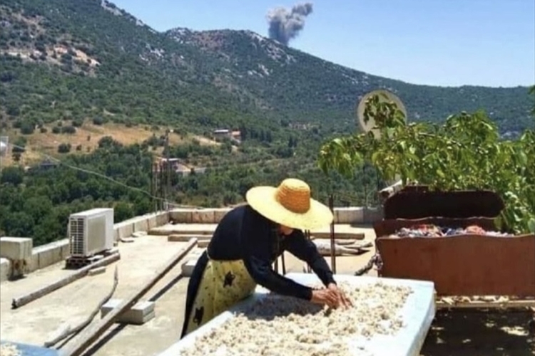 "منجفّف اللبن لنرفع الوطن”… "جمهورية الكشك اللبنانية