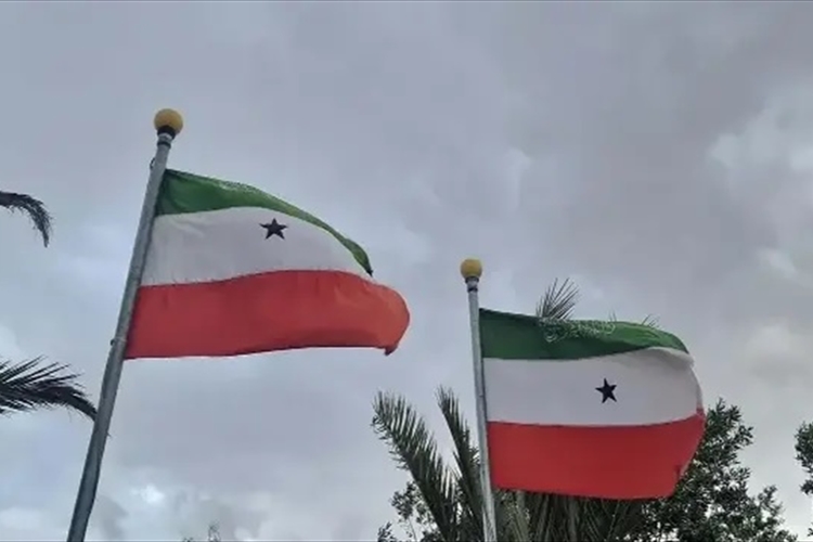 التعاون الخليجي ومصر وتركيا تدين إعتراف إسرائيل بإقليم «أرض الصومال»