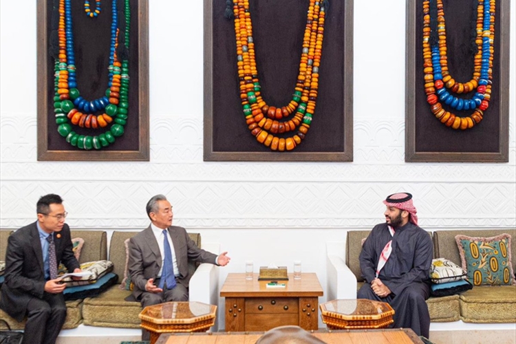 ولي العهد السعودي استقبل وزير خارجية الصين