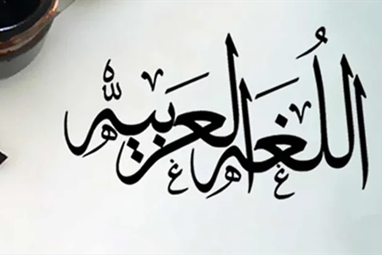 صاعقة وعي للُّغة العربية