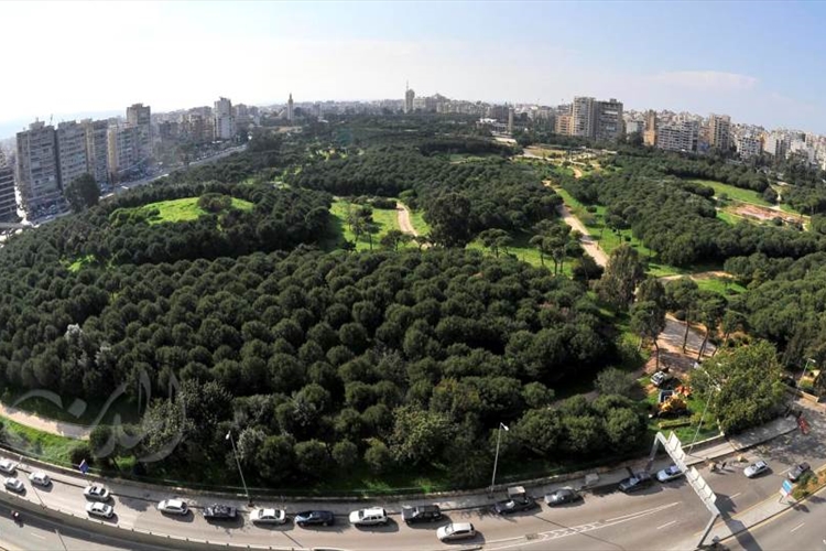 سيرةُ الفرحِ البيروتي حين كان العيدُ يجمعُ الشمل: من تعزيلة البيوت وعمق المعمول إلى زحمة الأسواق وصلاة الجامع العمري وكرنفال الحرش